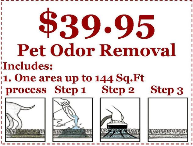 Carpet Cleaning Specials!